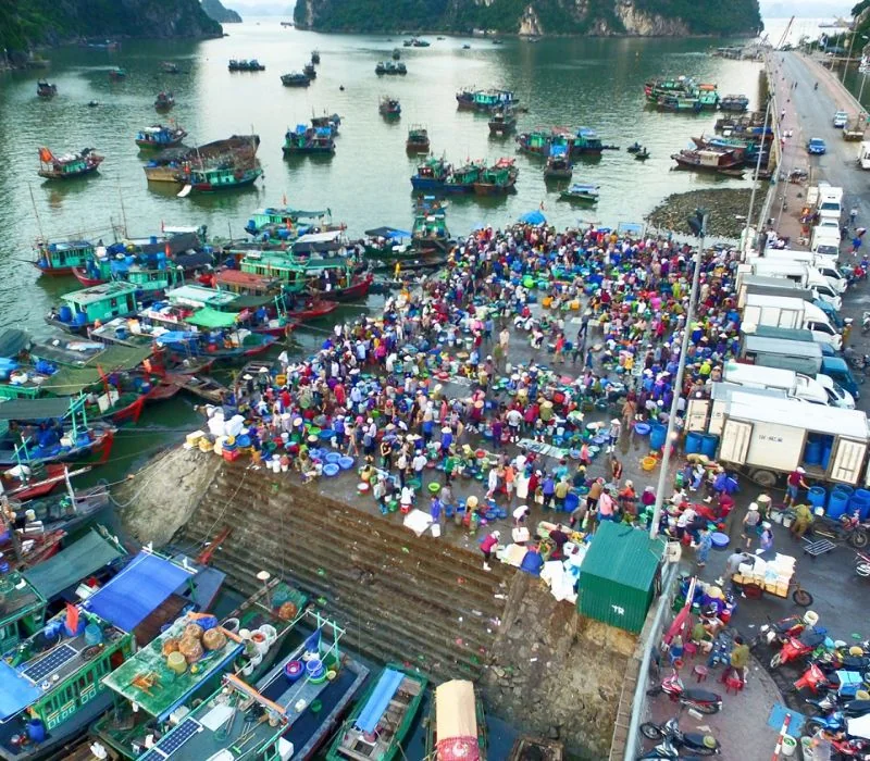 Vựa hải sản Quảng Ninh
