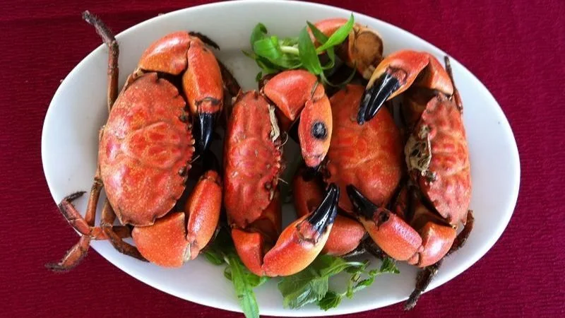 Cù kỳ luộc nước dừa