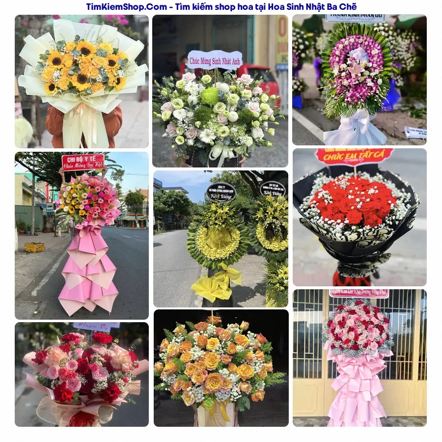 Shop Hoa Thương Flower - Shop Hoa Ba Chẽ