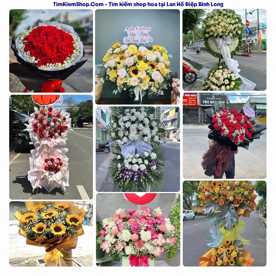 Shop Hoa Thương Flower - Shop Hoa Bình Long