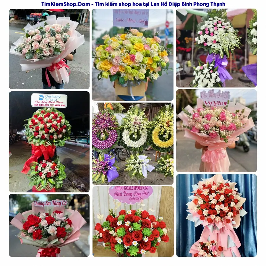 Shop Hoa Thương Flower - Shop Hoa Bình Phong Thạnh