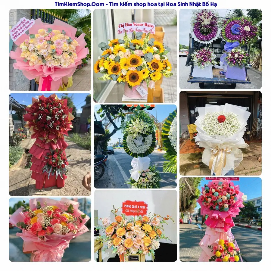 Shop Hoa Thương Flower - Shop Hoa Bố Hạ