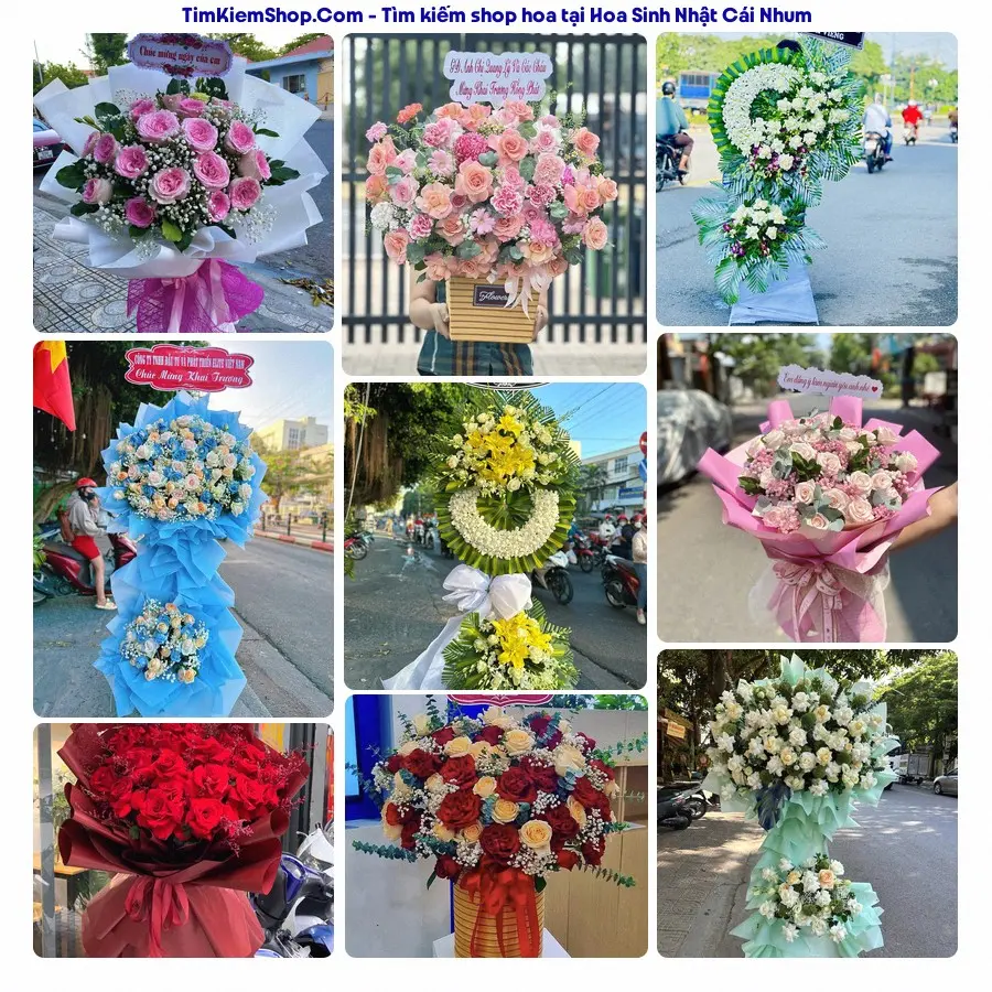 Shop Hoa Thương Flower - Shop Hoa Cái Nhum