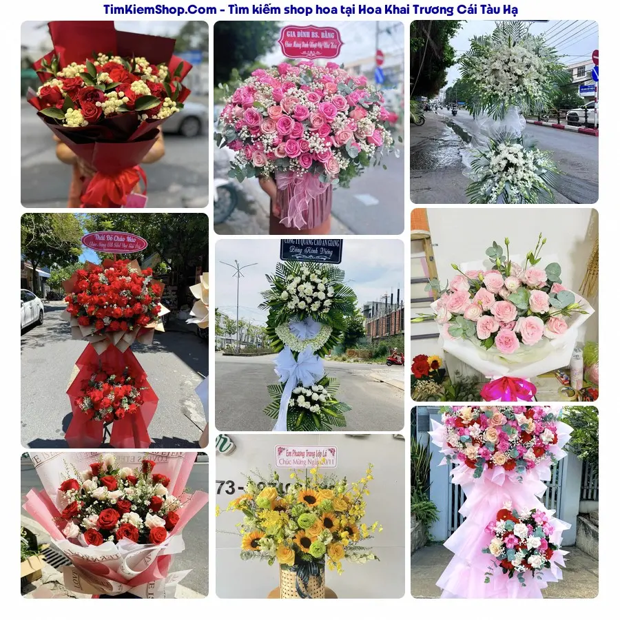 Shop Hoa Thương Flower - Shop Hoa Cái Tàu Hạ