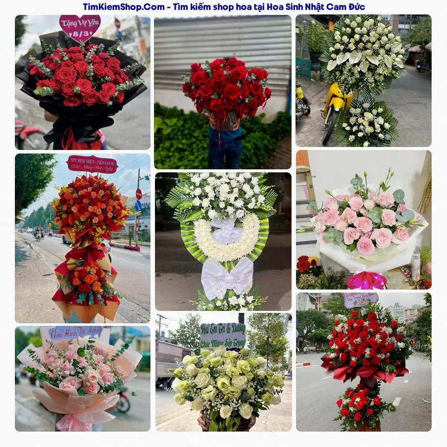 Shop Hoa Thương Flower - Shop Hoa Cam Đức