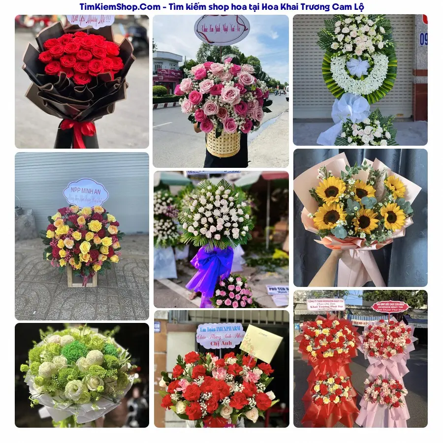 Shop Hoa Thương Flower - Shop Hoa Cam Lộ