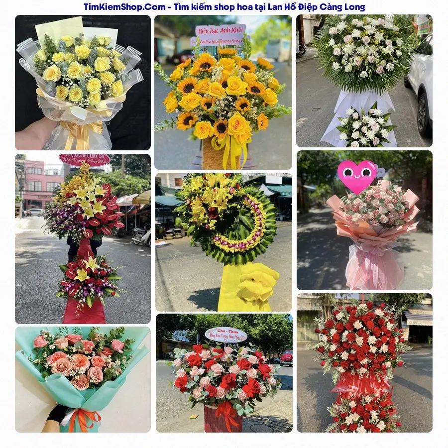 Shop Hoa Thương Flower - Shop Hoa Càng Long