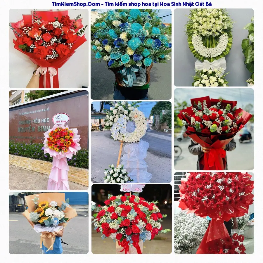 Shop Hoa Thương Flower - Shop Hoa Cát Bà