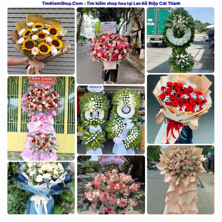 Shop Hoa Thương Flower - Shop Hoa Cát Thành