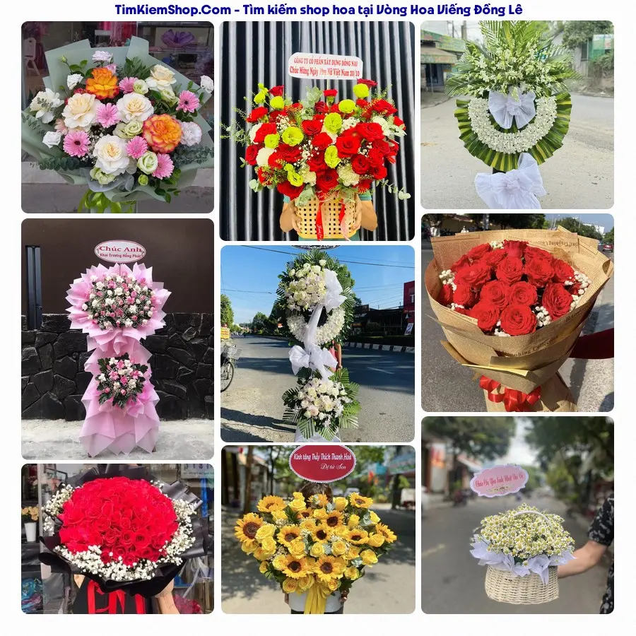 Shop Hoa Thương Flower - Shop Hoa Đồng Lê