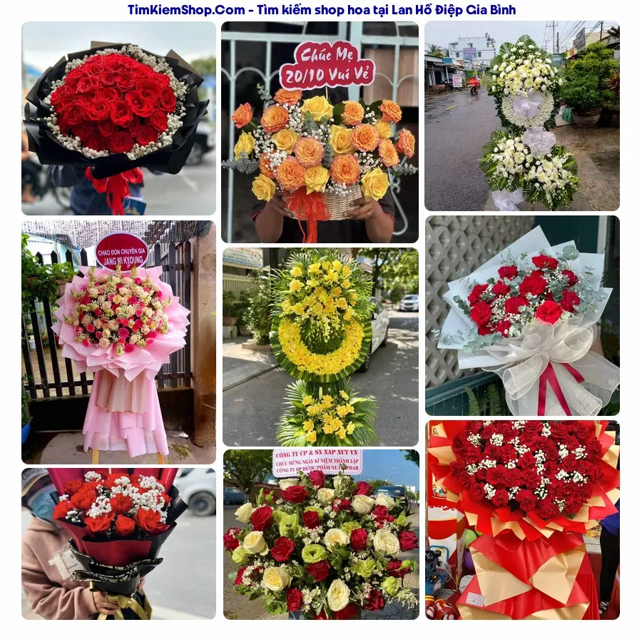 Shop Hoa Thương Flower - Shop Hoa Gia Bình