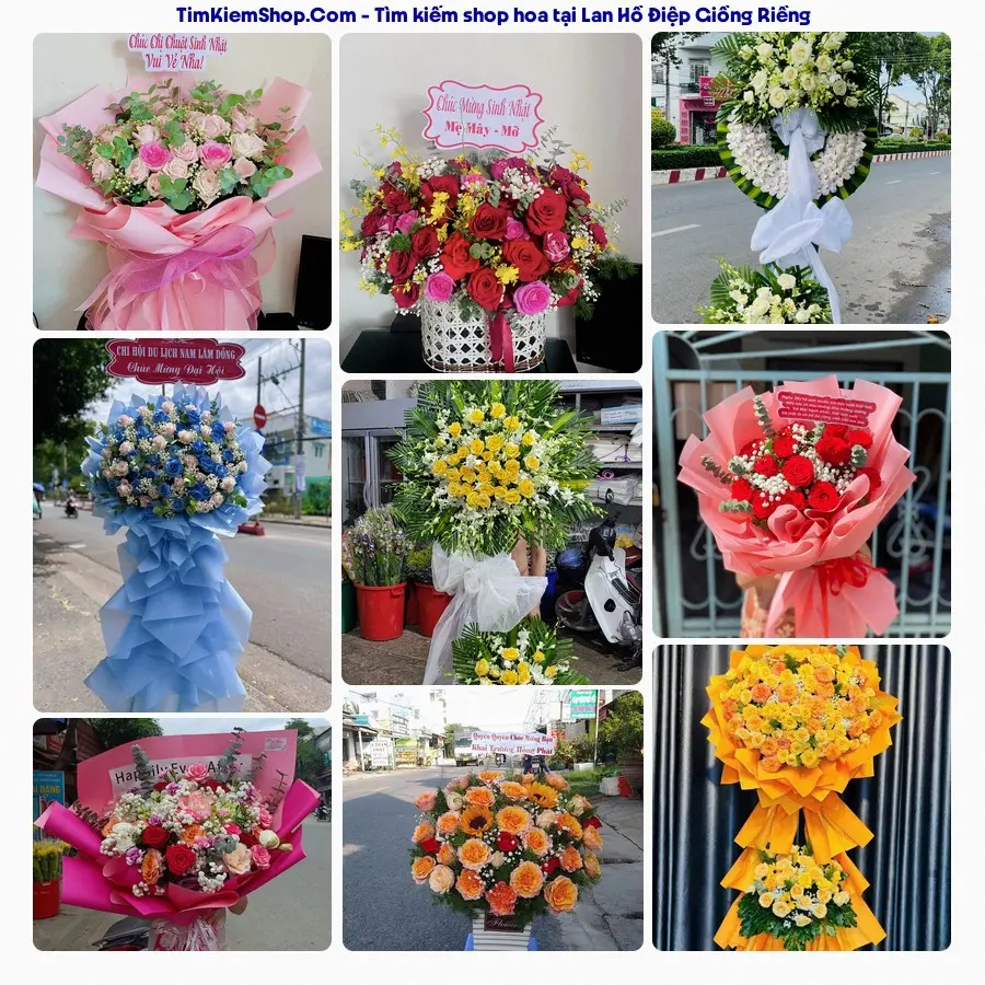 Shop Hoa Thương Flower - Shop Hoa Giồng Riềng