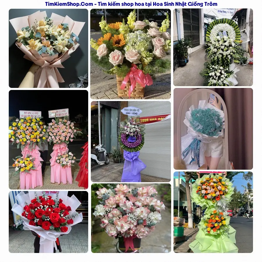 Shop Hoa Thương Flower - Shop Hoa Giồng Trôm