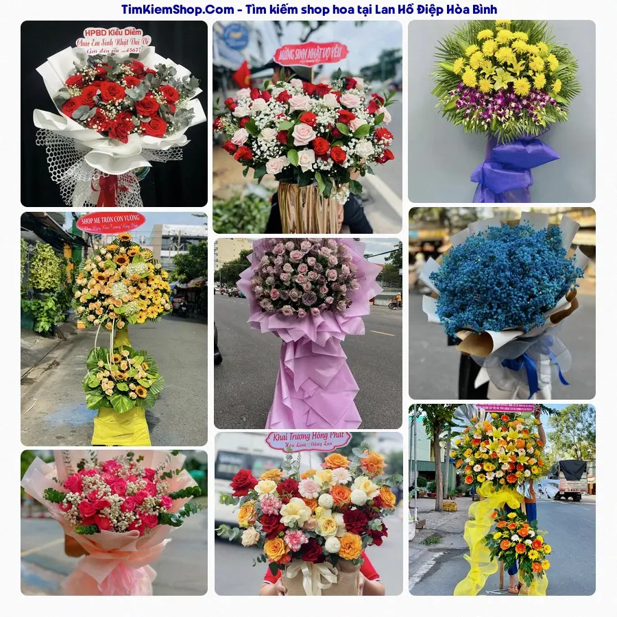 Shop Hoa Thương Flower - Shop Hoa Hòa Bình