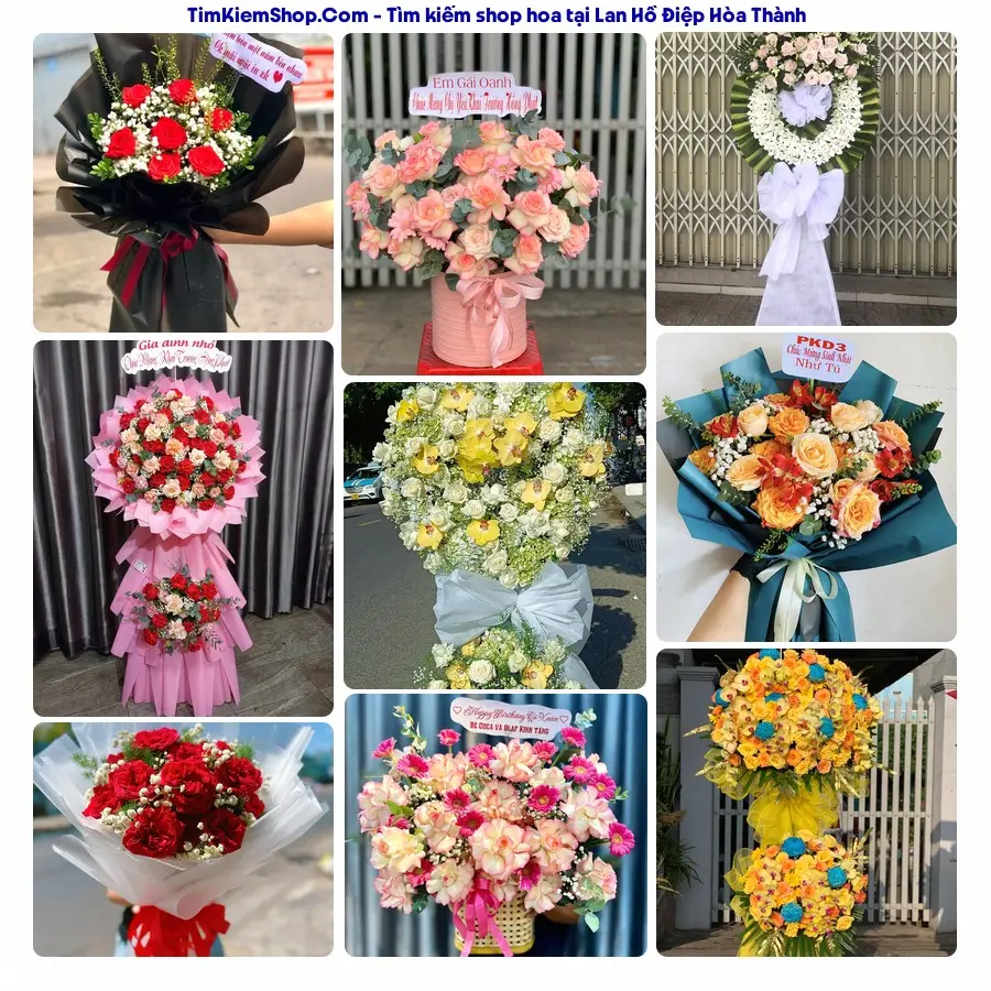 Shop Hoa Thương Flower - Shop Hoa Hòa Thành