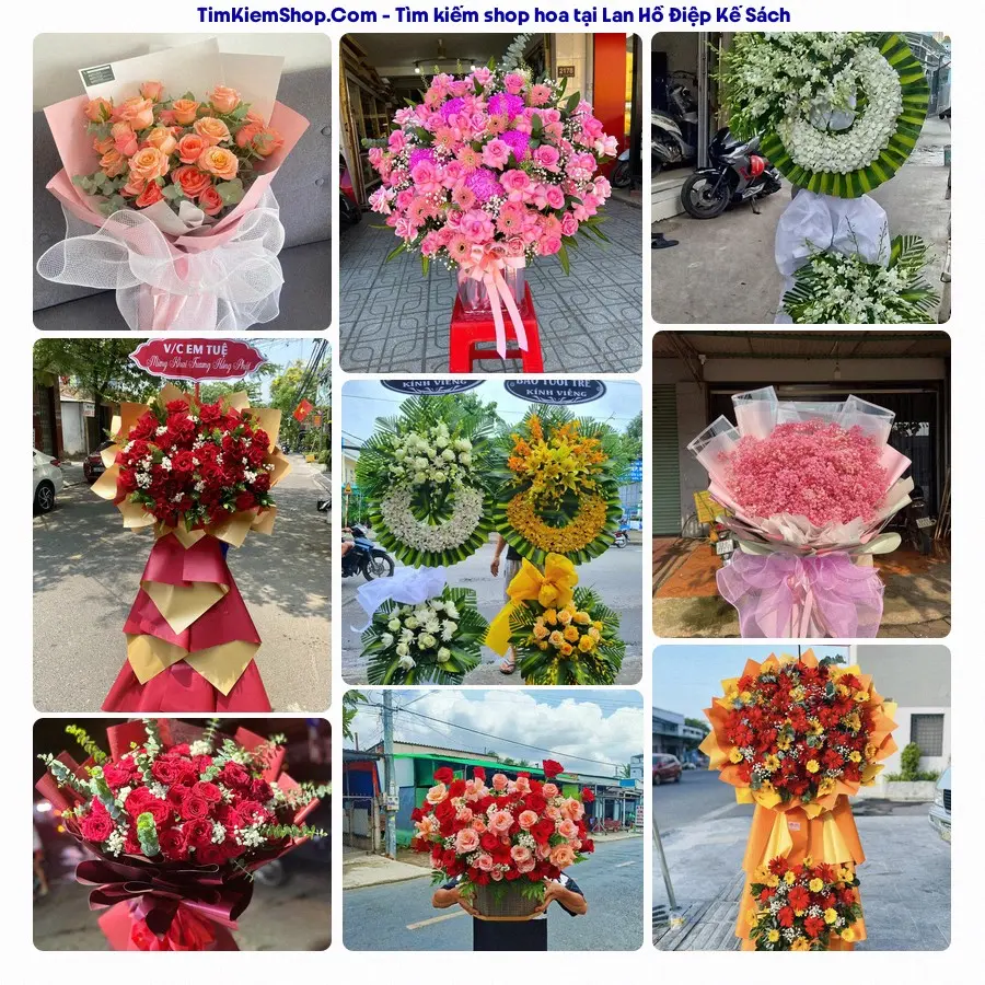 Shop Hoa Thương Flower - Shop Hoa Kế Sách