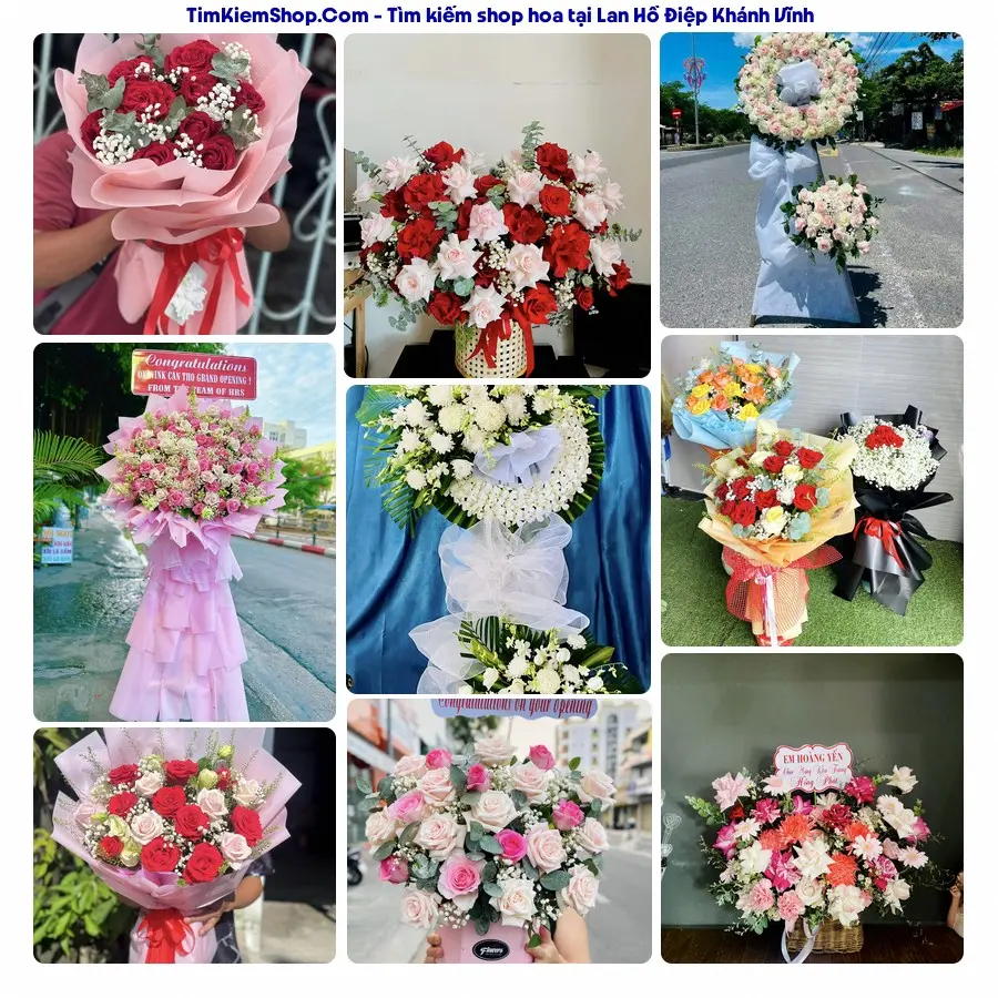 Shop Hoa Thương Flower - Shop Hoa Khánh Vĩnh