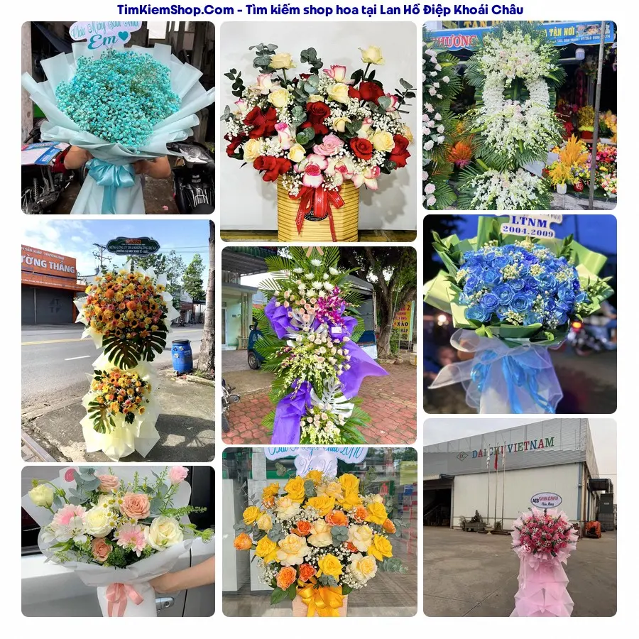 Shop Hoa Thương Flower - Shop Hoa Khoái Châu