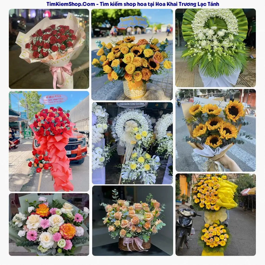Shop Hoa Thương Flower - Shop Hoa Lạc Tánh