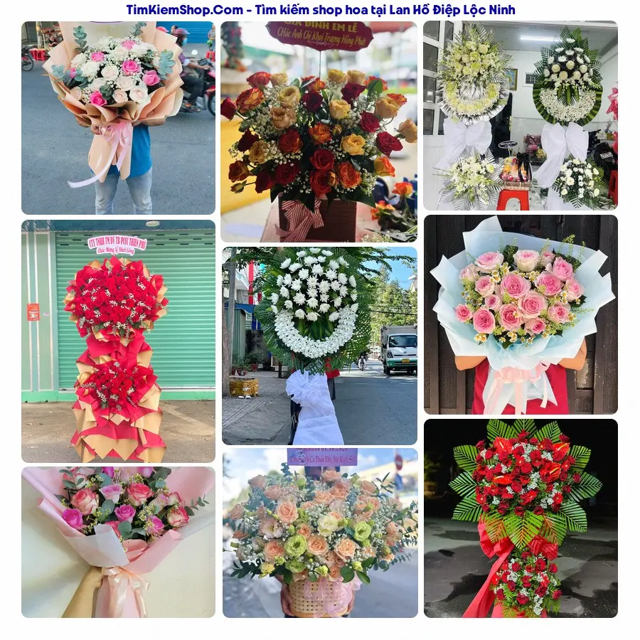 Shop Hoa Thương Flower - Shop Hoa Lộc Ninh