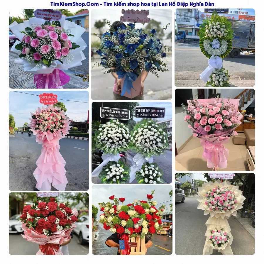 Shop Hoa Thương Flower - Shop Hoa Nghĩa Đàn