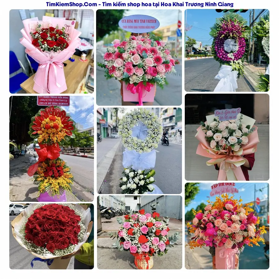 Shop Hoa Thương Flower - Shop Hoa Ninh Giang