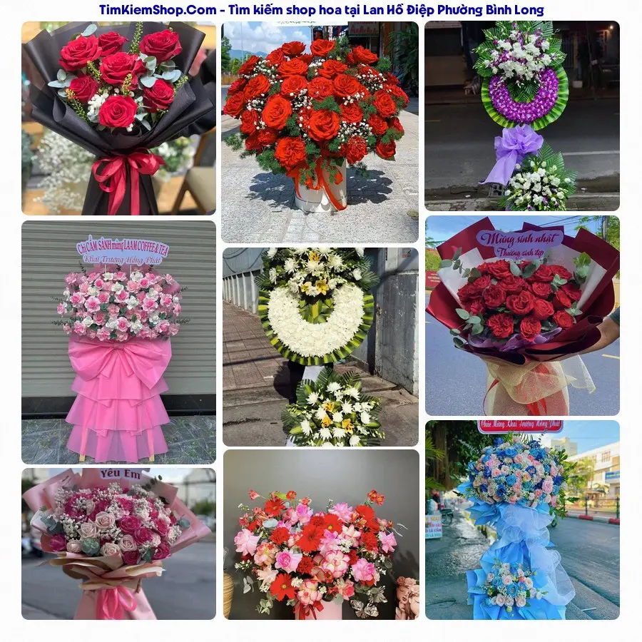 Shop Hoa Thương Flower - Shop Hoa Phường Bình Long