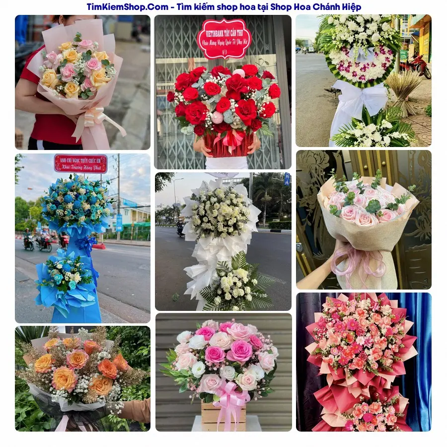 Shop Hoa Thương Flower - Shop Hoa Phường Chánh Hiệp
