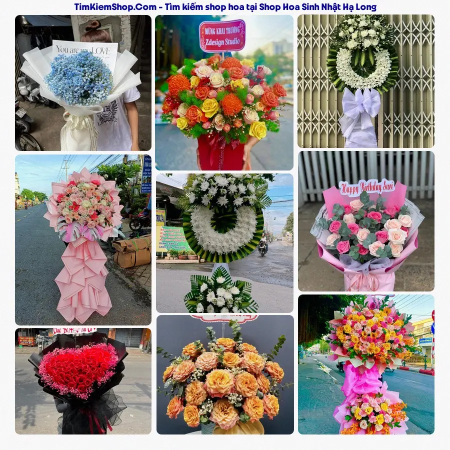 Shop Hoa Thương Flower - Shop Hoa Phường Hạ Long