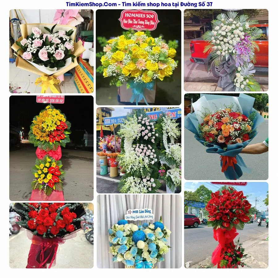 Shop Hoa Thương Flower - Shop Hoa Phường Hiệp Bình