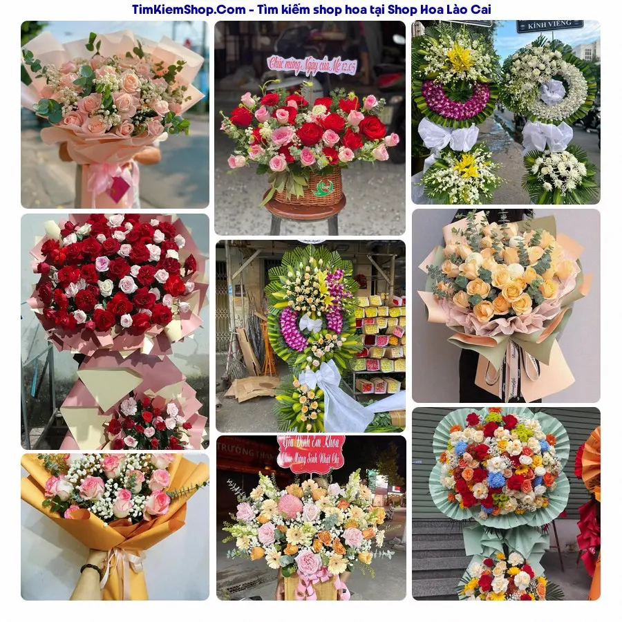 Shop Hoa Thương Flower - Shop Hoa Phường Lào Cai