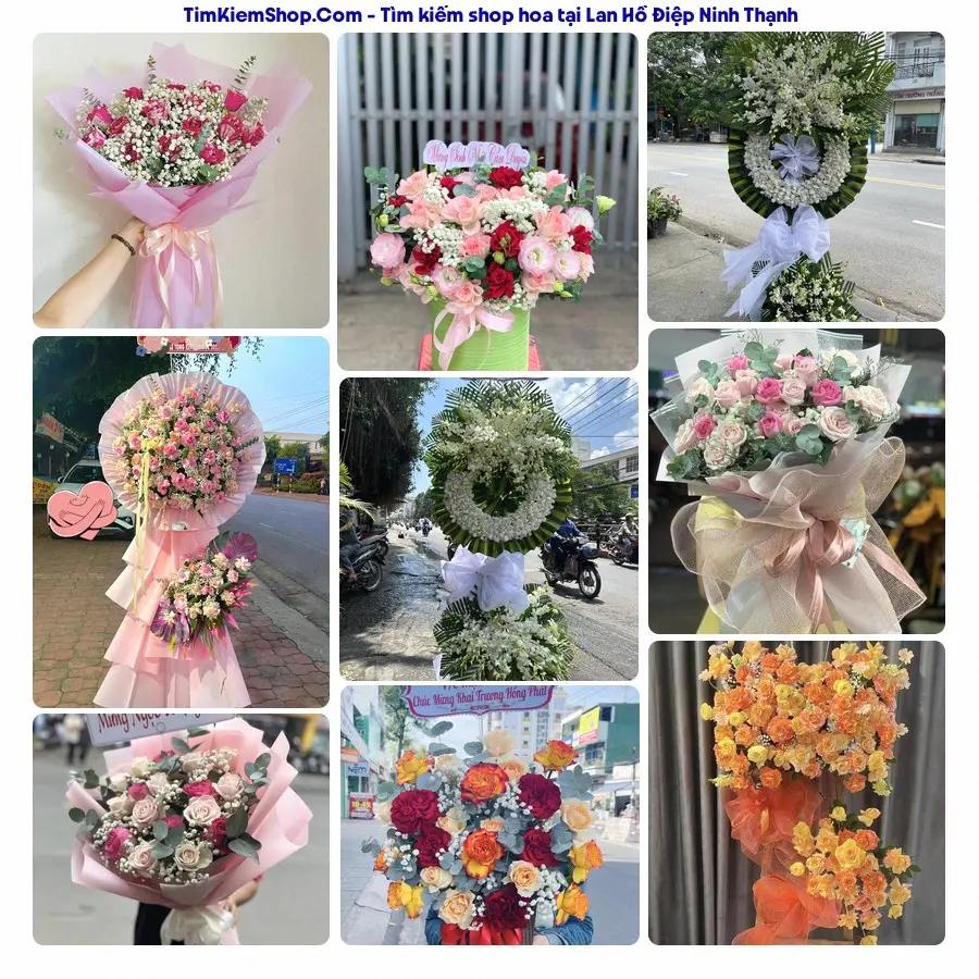 Shop Hoa Thương Flower - Shop Hoa Phường Ninh Thạnh