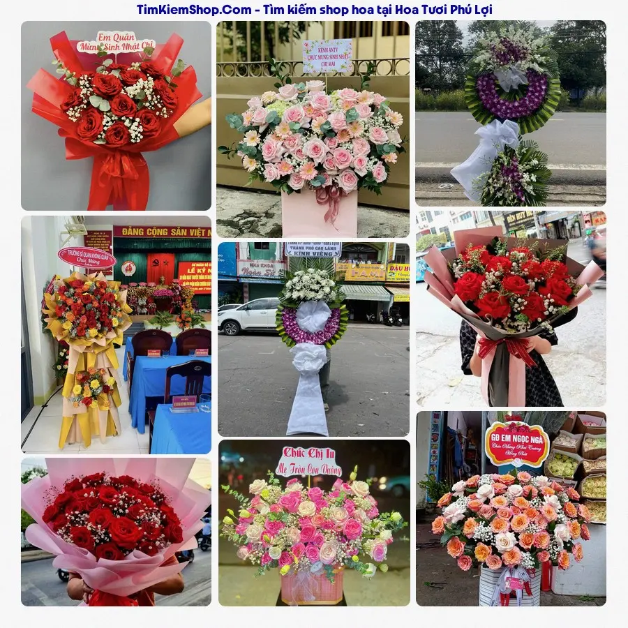 Shop Hoa Thương Flower - Shop Hoa Phường Phú Lợi