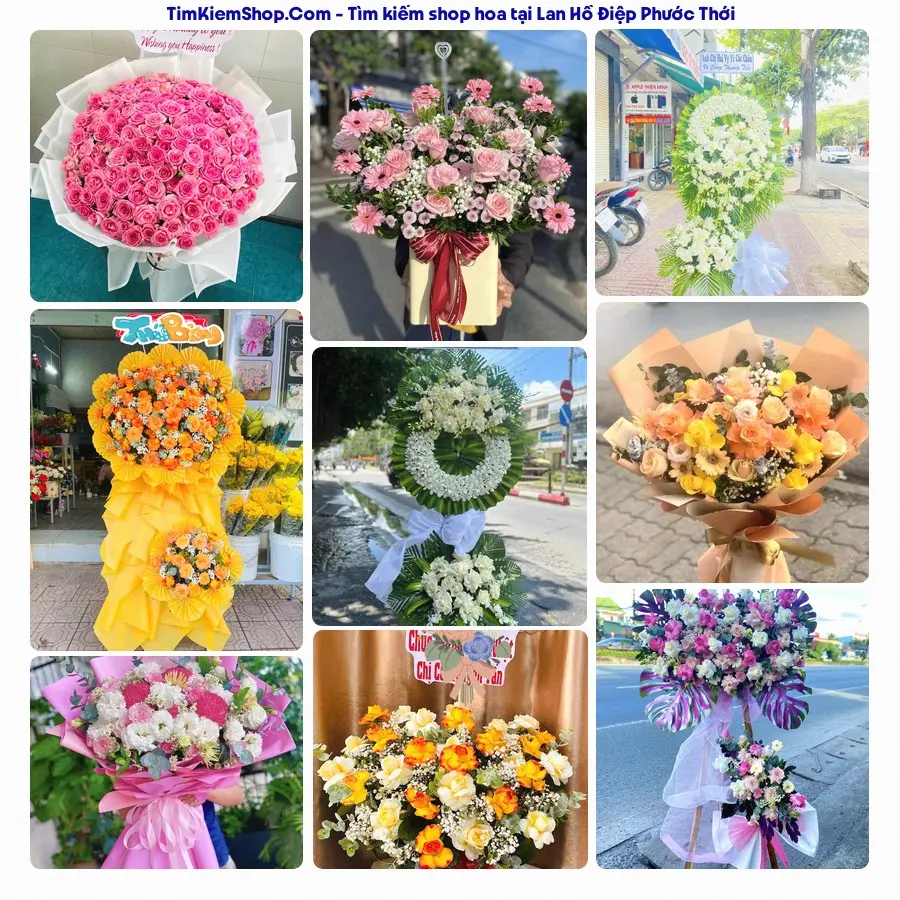 Shop Hoa Thương Flower - Shop Hoa Phường Phước Thới