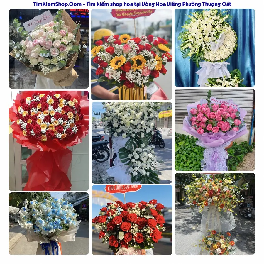 Shop Hoa Thương Flower - Shop Hoa Phường Thượng Cát