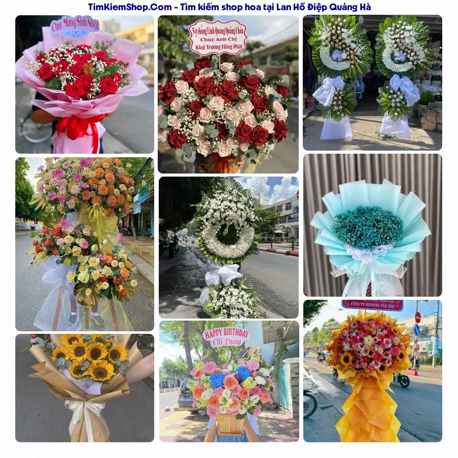 Shop Hoa Thương Flower - Shop Hoa Quảng Hà