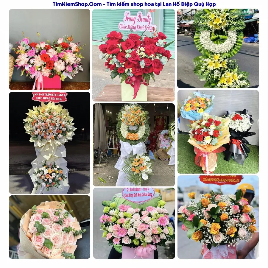 Shop Hoa Thương Flower - Shop Hoa Quỳ Hợp