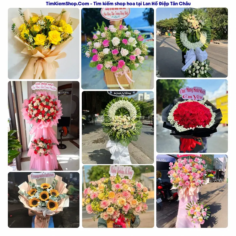 Shop Hoa Thương Flower - Shop Hoa Tân Châu