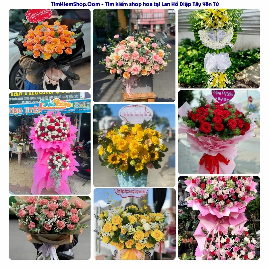 Shop Hoa Thương Flower - Shop Hoa Tây Yên Tử
