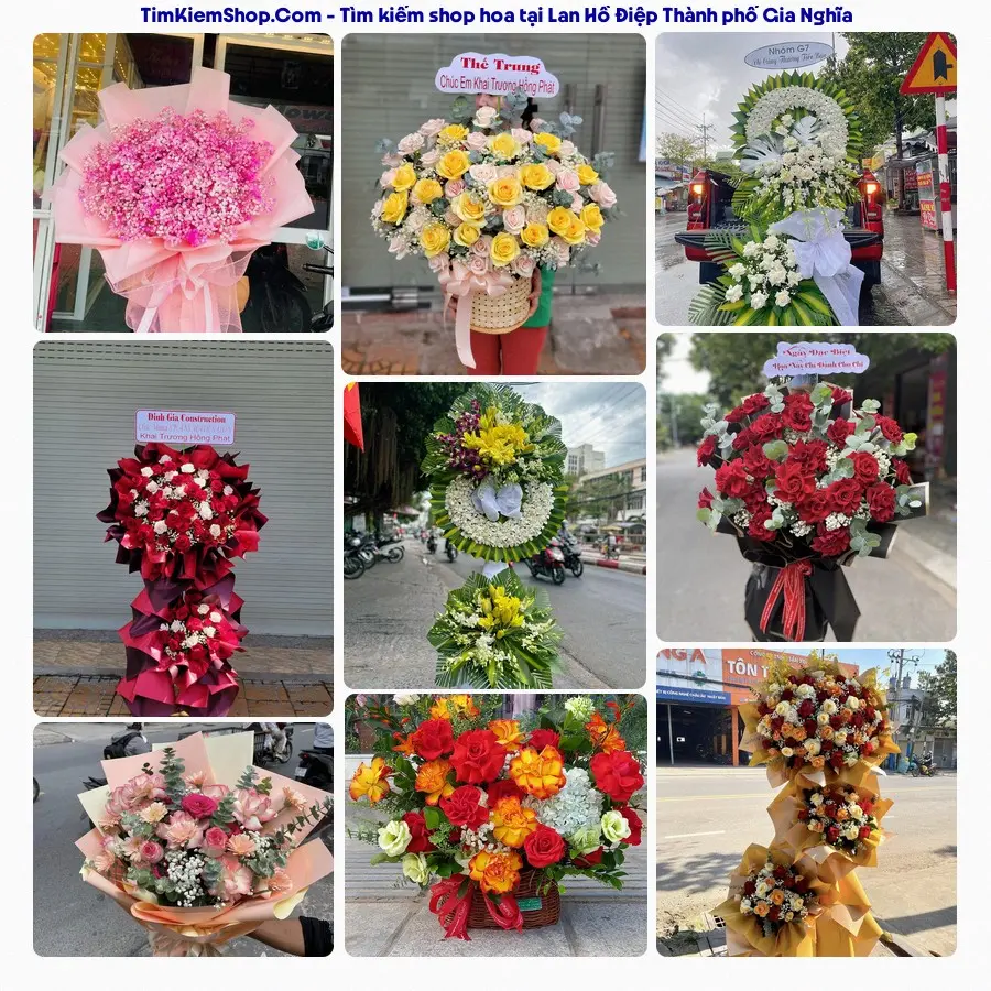 Shop Hoa Thương Flower - Shop Hoa Thành phố Gia Nghĩa