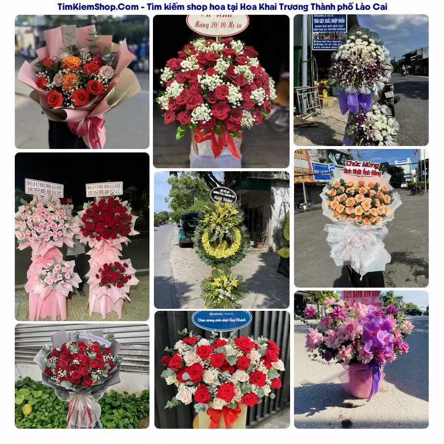 Shop Hoa Thương Flower - Shop Hoa Thành phố Lào Cai