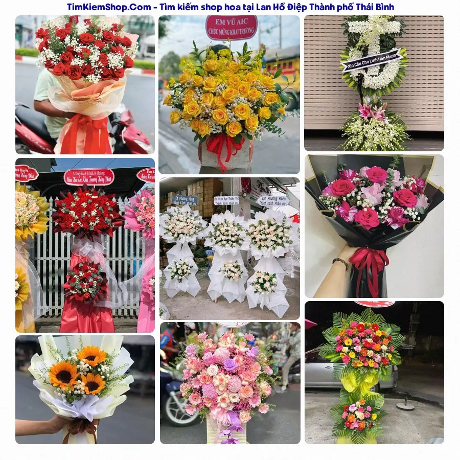 Shop Hoa Thương Flower - Shop Hoa Thành phố Thái Bình
