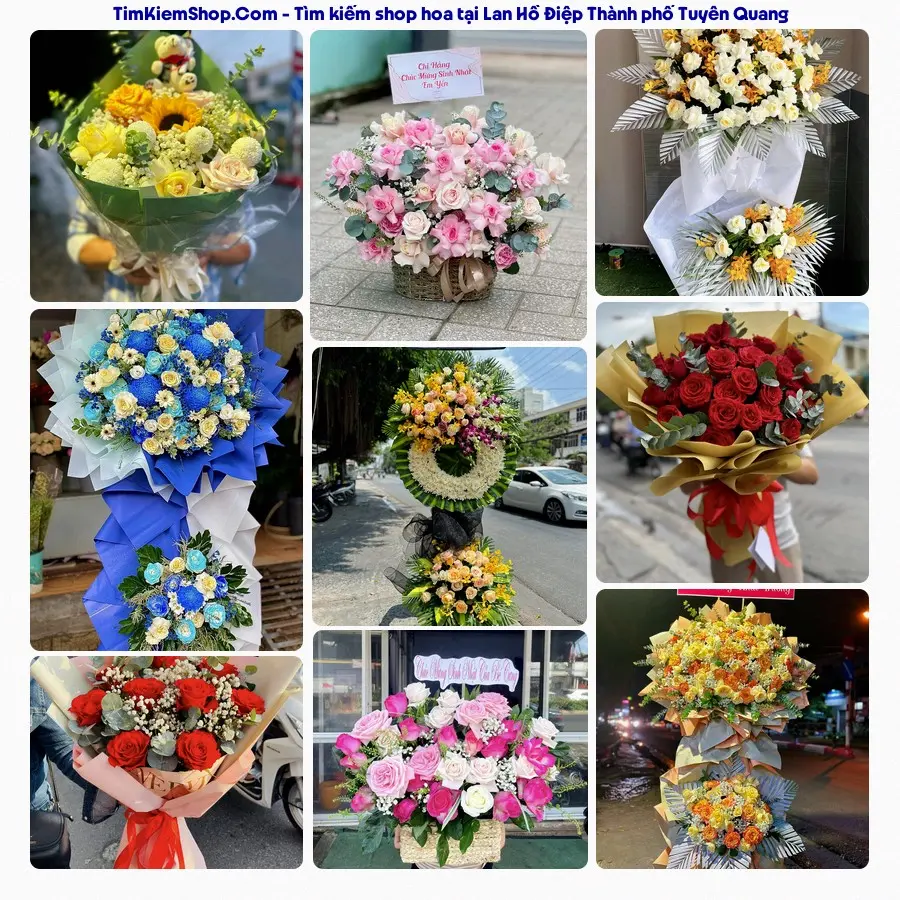 Shop Hoa Thương Flower - Shop Hoa Thành phố Tuyên Quang