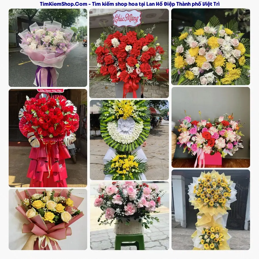 Shop Hoa Thương Flower - Shop Hoa Thành phố Việt Trì