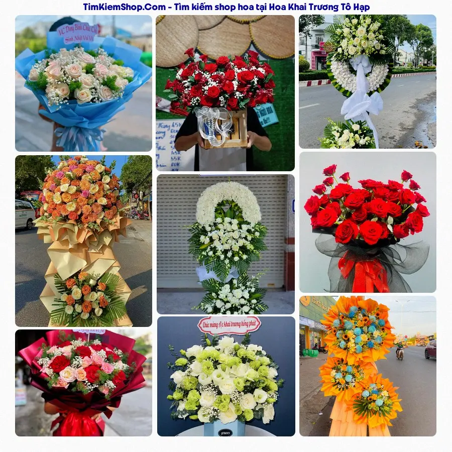 Shop Hoa Thương Flower - Shop Hoa Tô Hạp