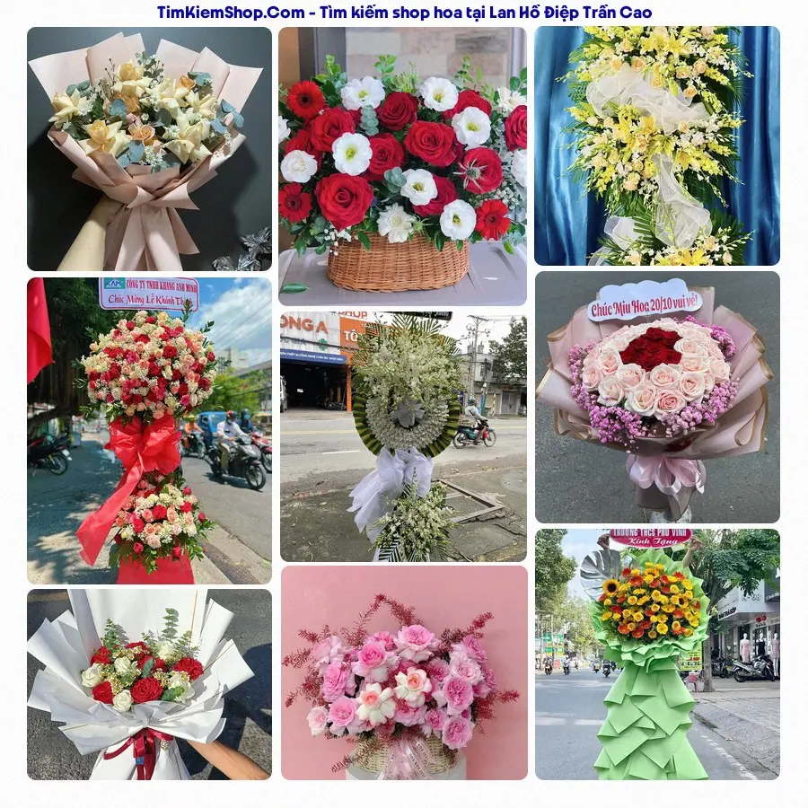 Shop Hoa Thương Flower - Shop Hoa Trần Cao