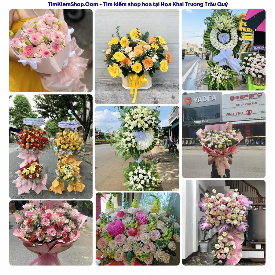 Shop Hoa Thương Flower - Shop Hoa Trâu Quỳ