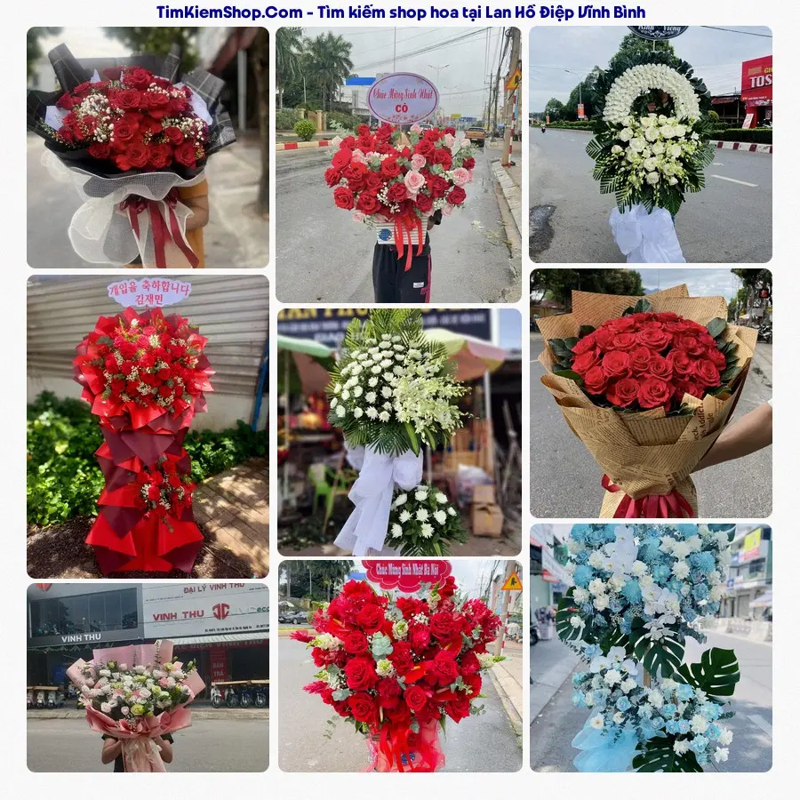 Shop Hoa Thương Flower - Shop Hoa Vĩnh Bình