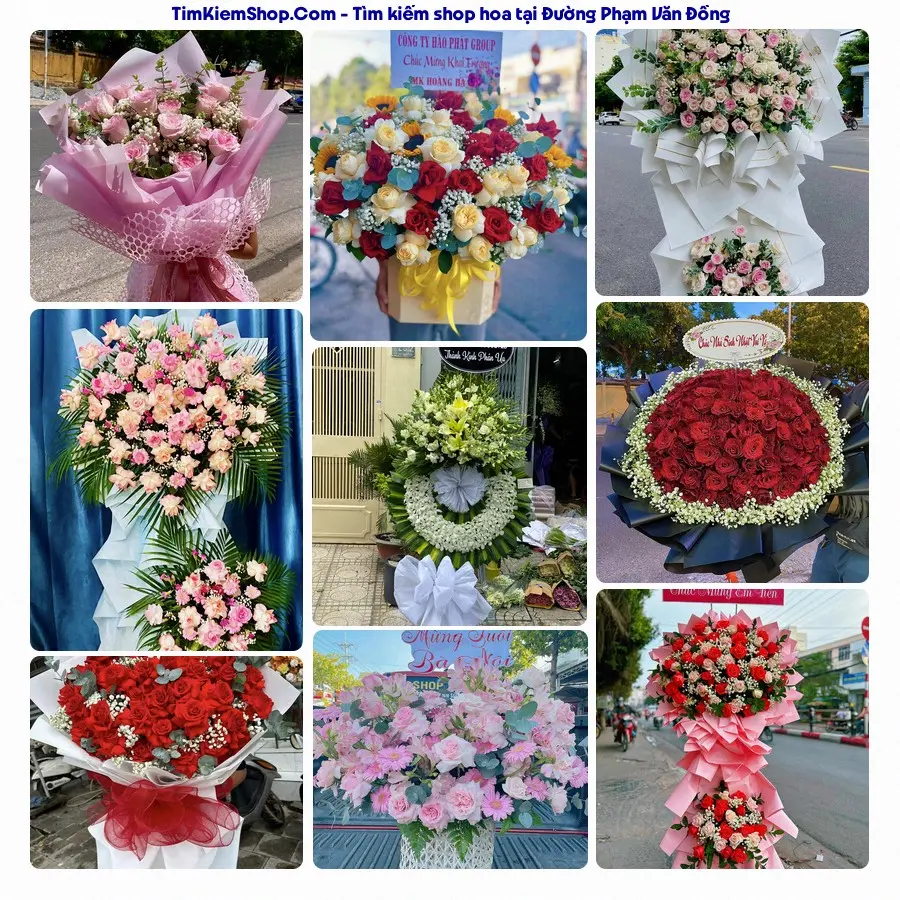 Shop Hoa Thương Flower - Shop Hoa Xã Bình Sơn