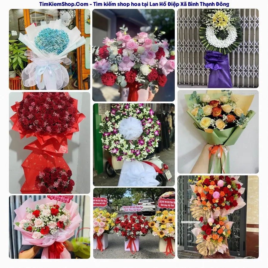 Shop Hoa Thương Flower - Shop Hoa Xã Bình Thạnh Đông